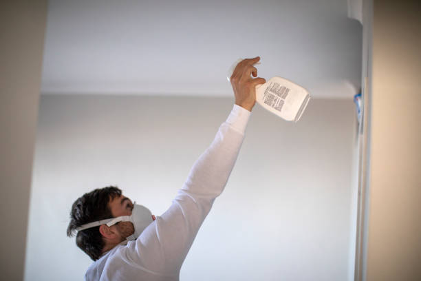 Best Industrial Mold Remediation in Pike Creek Valley, DE